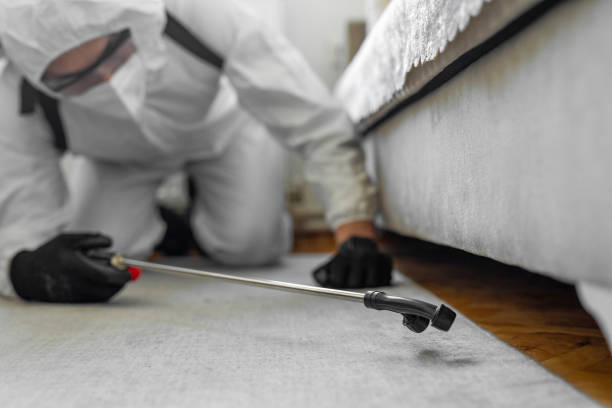 Professional Cockroach Control technician working in Milwaukee, WI